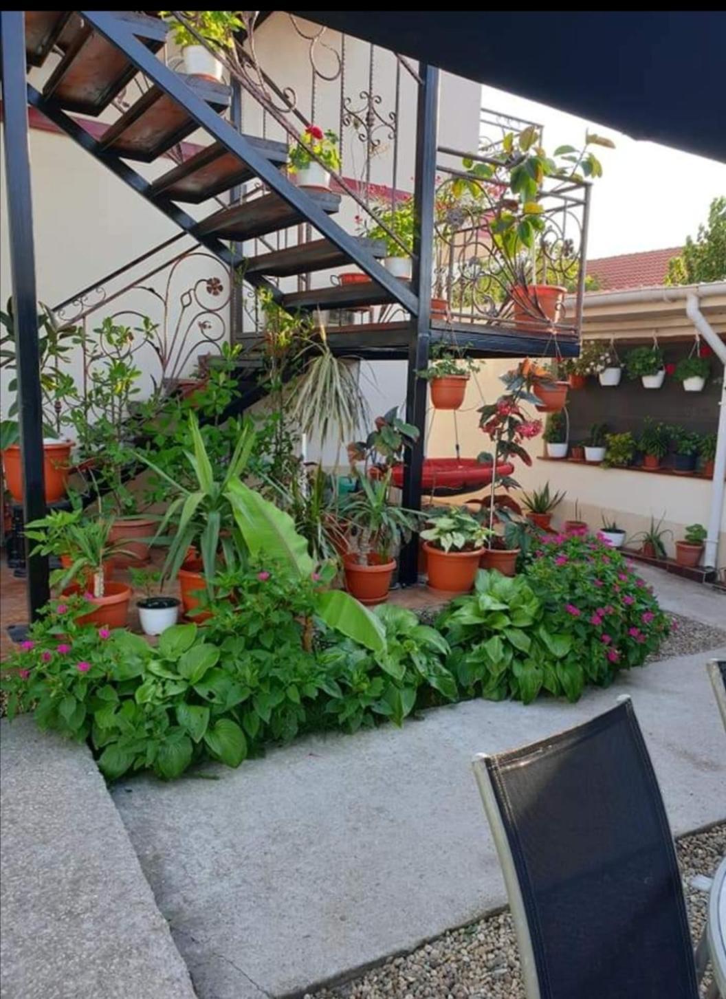 Vila Robert Hotel Schitu Екстериор снимка