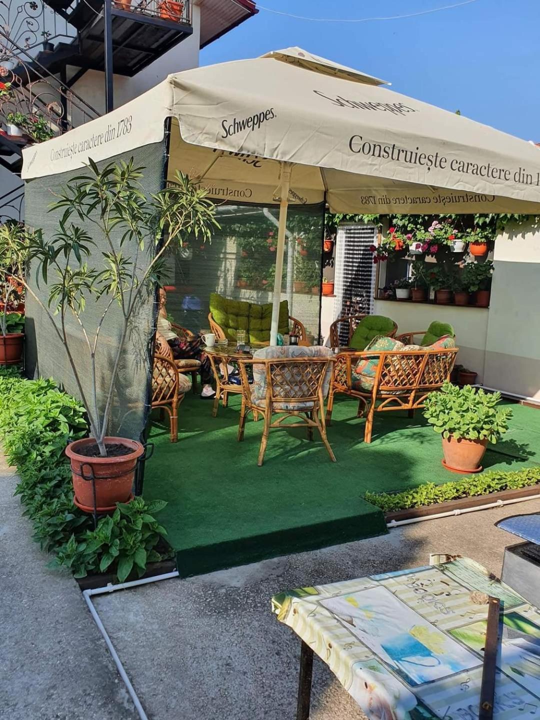 Vila Robert Hotel Schitu Екстериор снимка