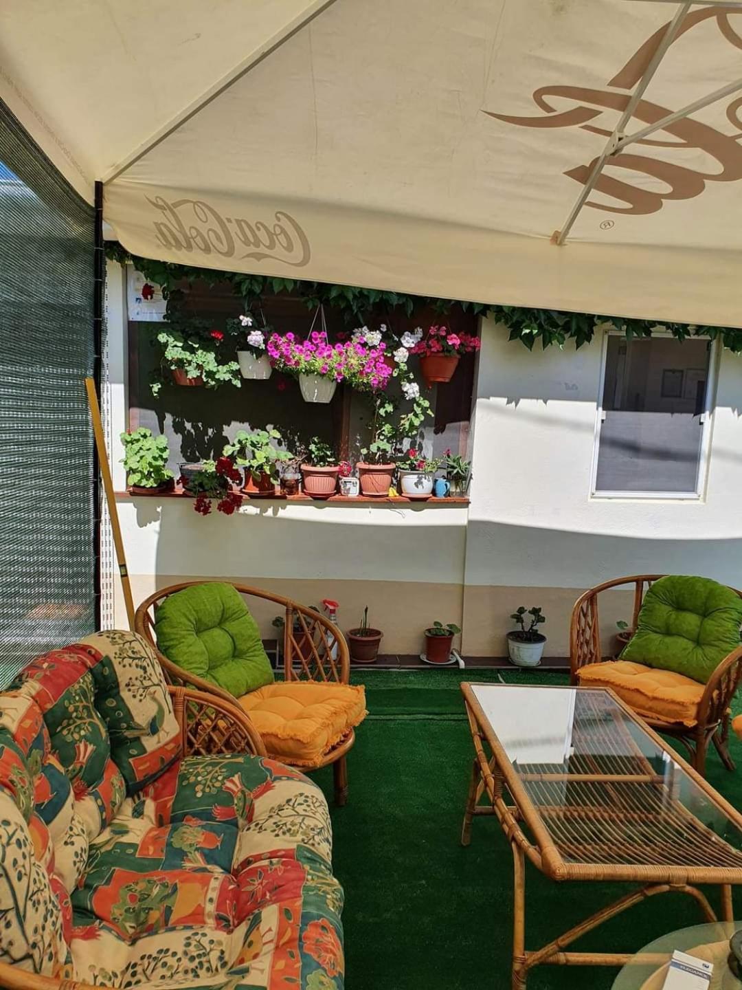 Vila Robert Hotel Schitu Екстериор снимка