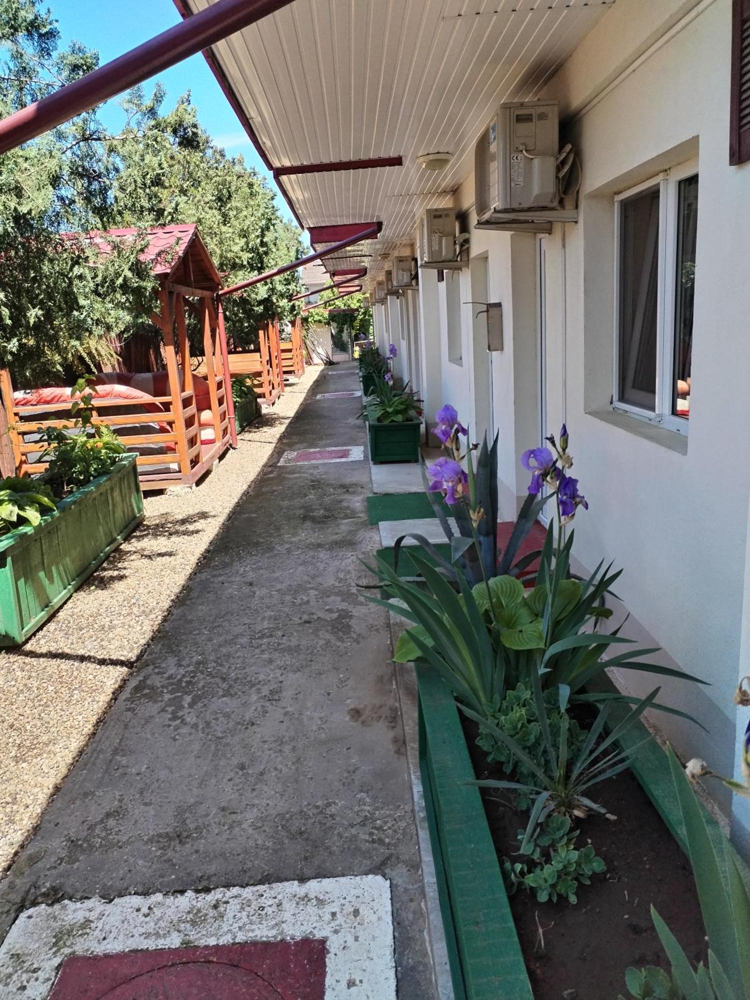Vila Robert Hotel Schitu Екстериор снимка